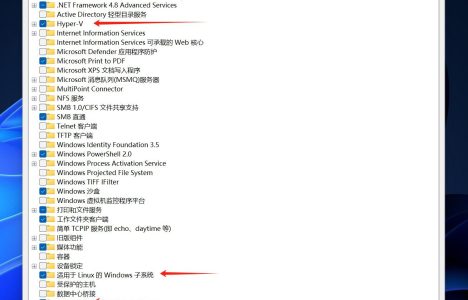 win11解决：Docker Desktop Unexpected WSL error