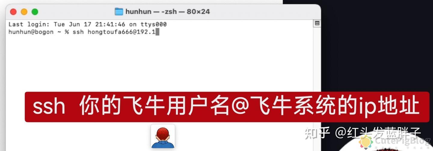 飞牛NAS笔记本神优化:合盖不休眠,24小时在线!插图4 飞牛NAS笔记本神优化:合盖不休眠,24小时在线!插图4